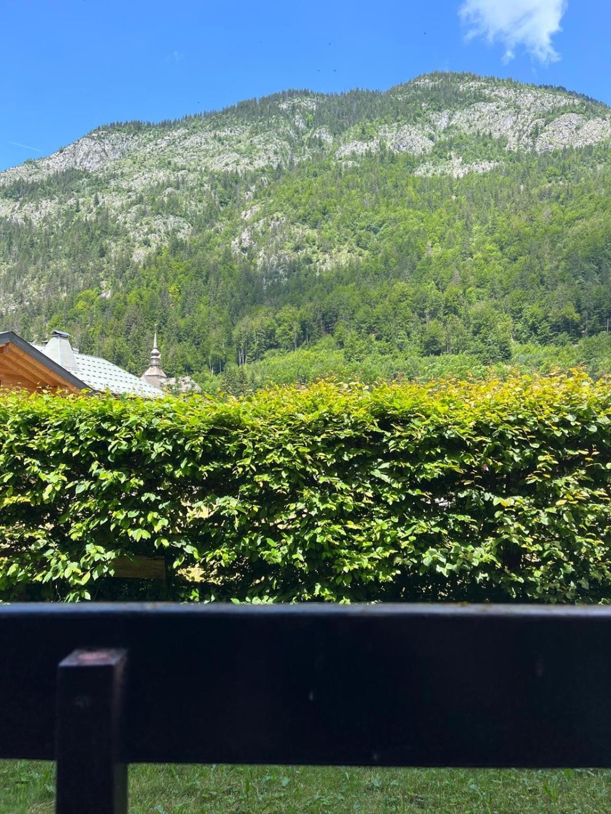Apartment Confortable Centre-ville